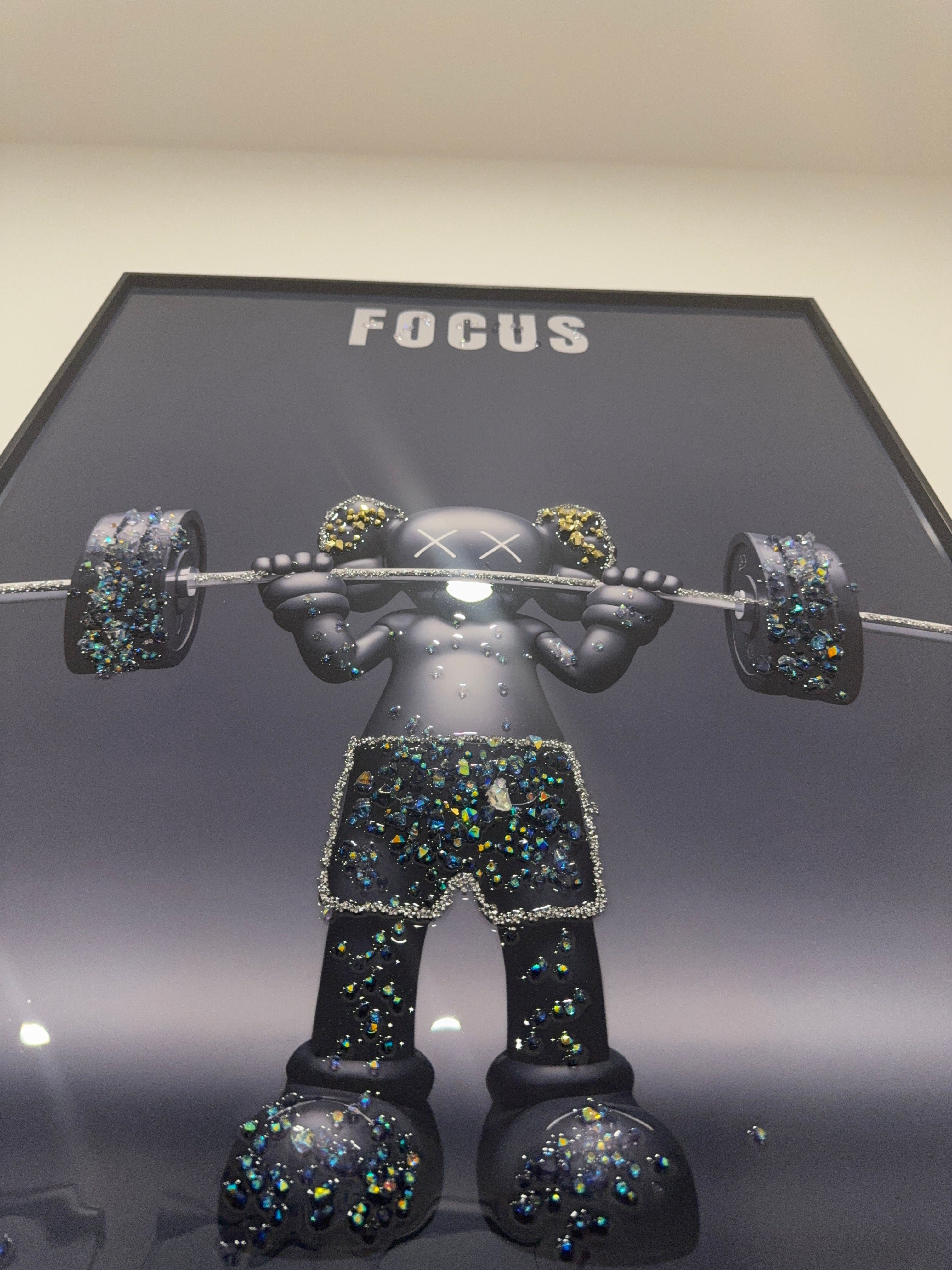 Art Bear Focus